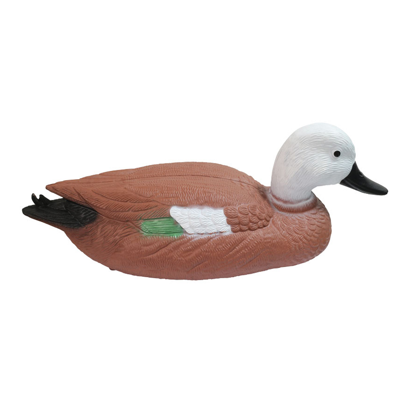 duck1.jpg